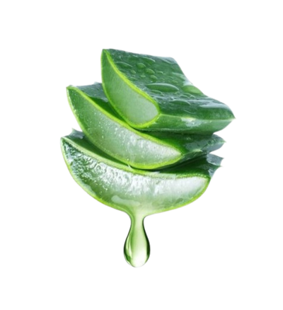 Aloe Vera Leaf Powder